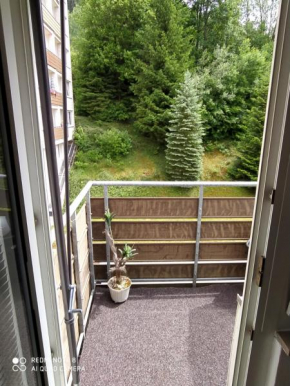 Tiny Flat Baiersbronn